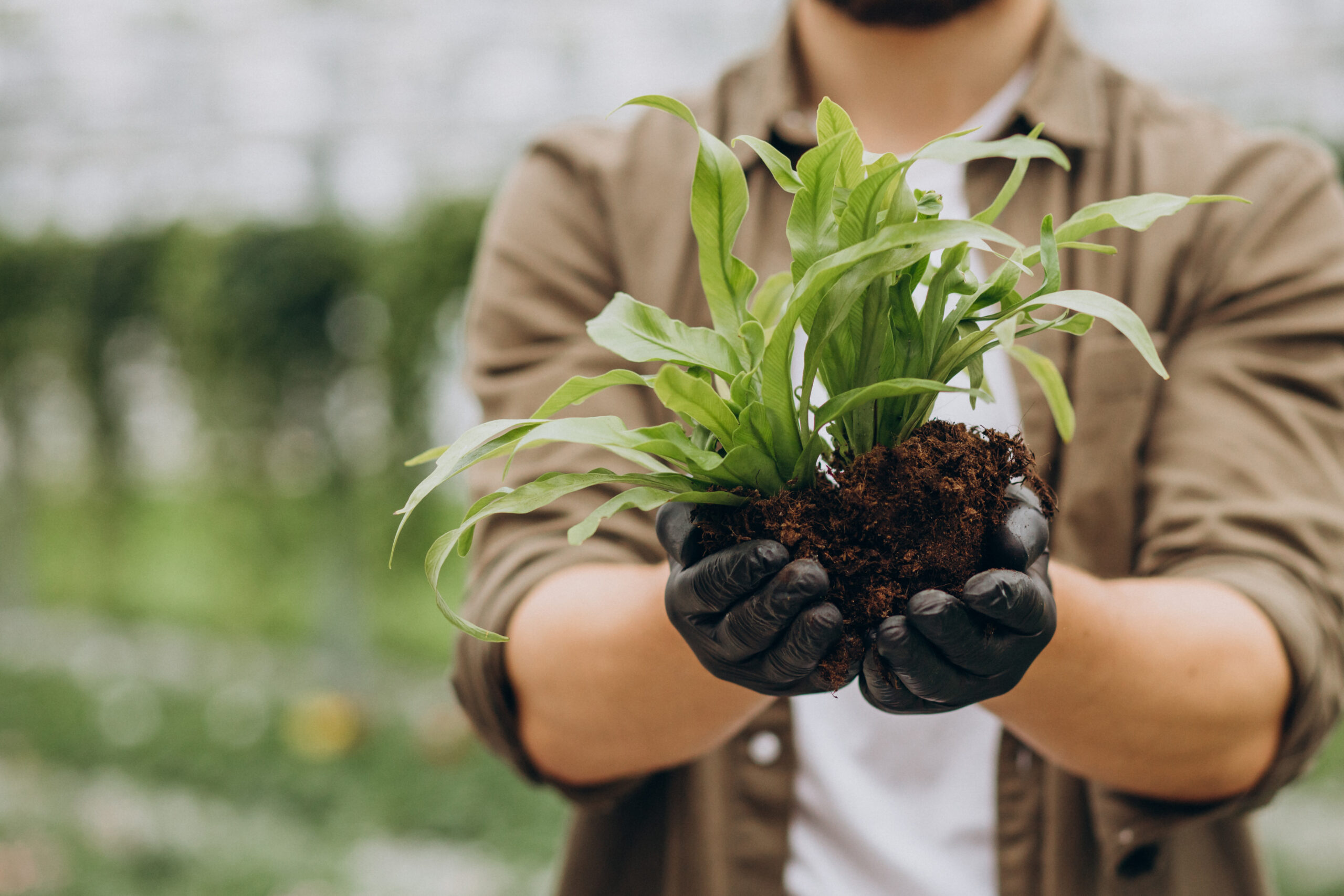 Man florist working in green house